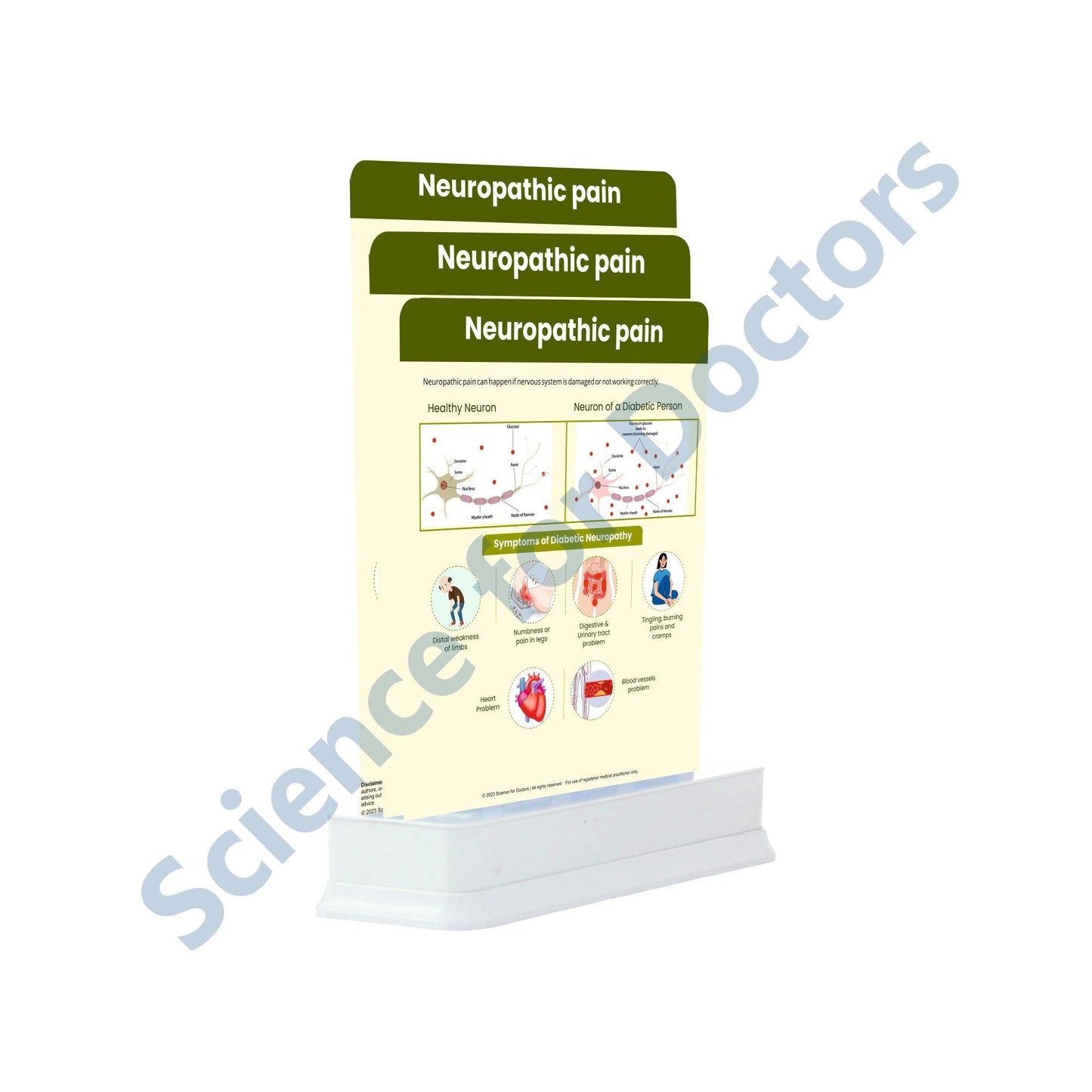 Neuropathic Pain (1): 3 slide on stand