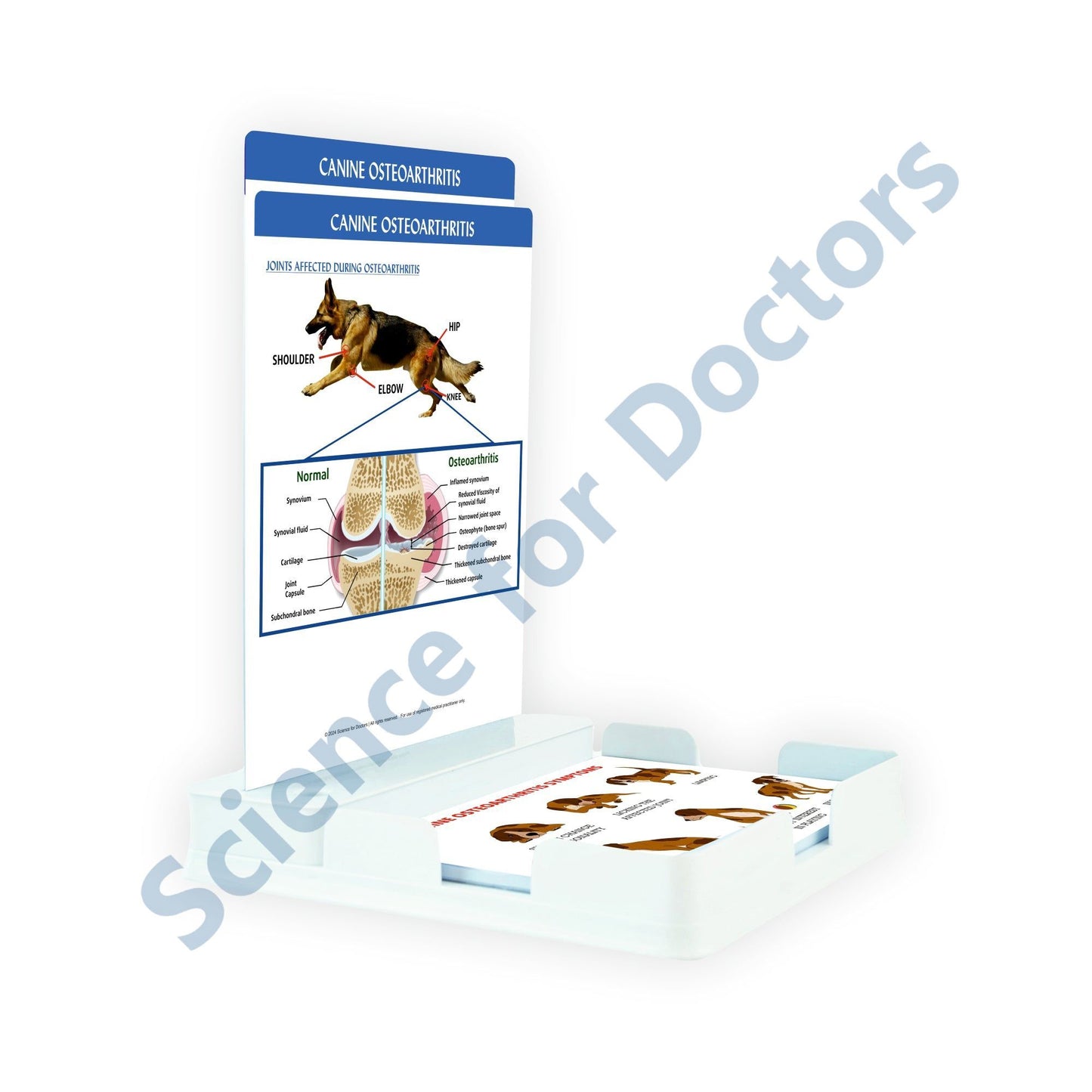 Canine Osteoarthritis: 2 Slides Patient Leaflet Tray