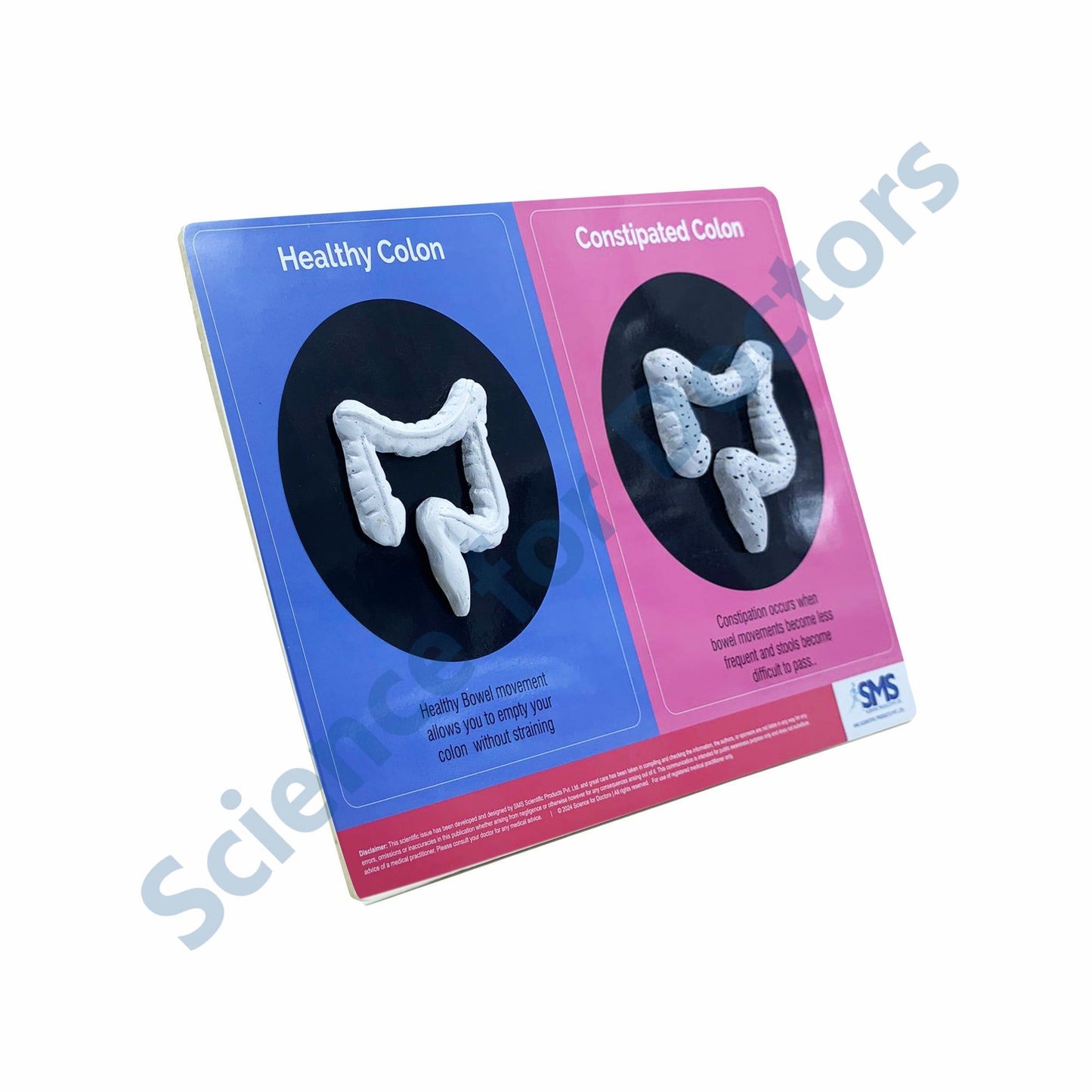 Constipation: 3D Therapy Board
