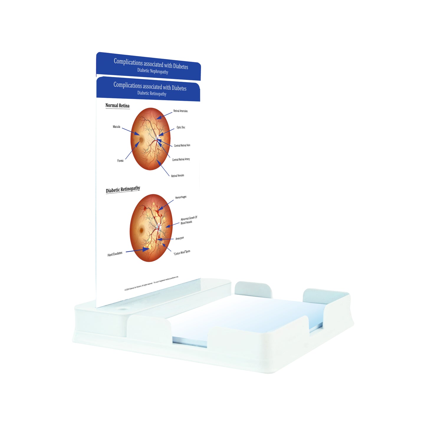 Complicated Associated With Diabetes: 2 Slides Patient Leaflet Tray