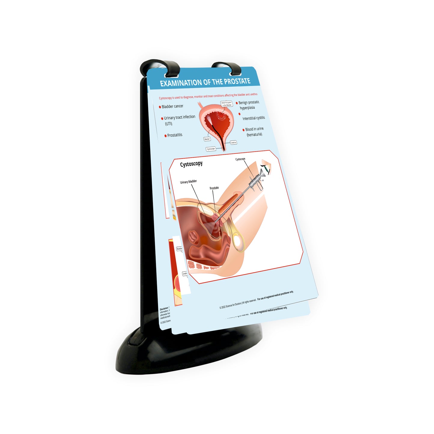 Examination of The Prostate: A5 Flip Wipe