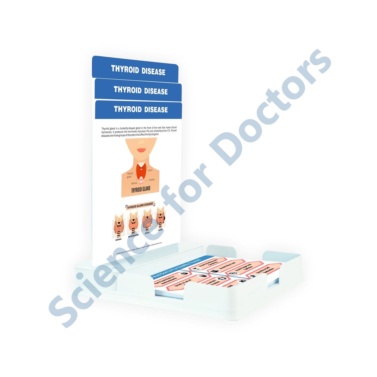 Thyroid Disease - 3 Slides With Tray