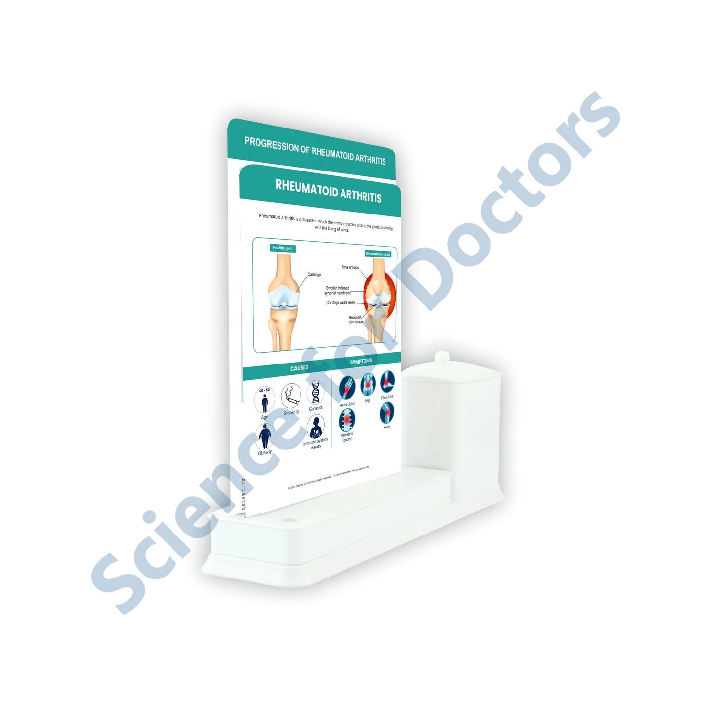 2 Slides Write & Wipe with Utility Container - Rheumatoid Arthritis