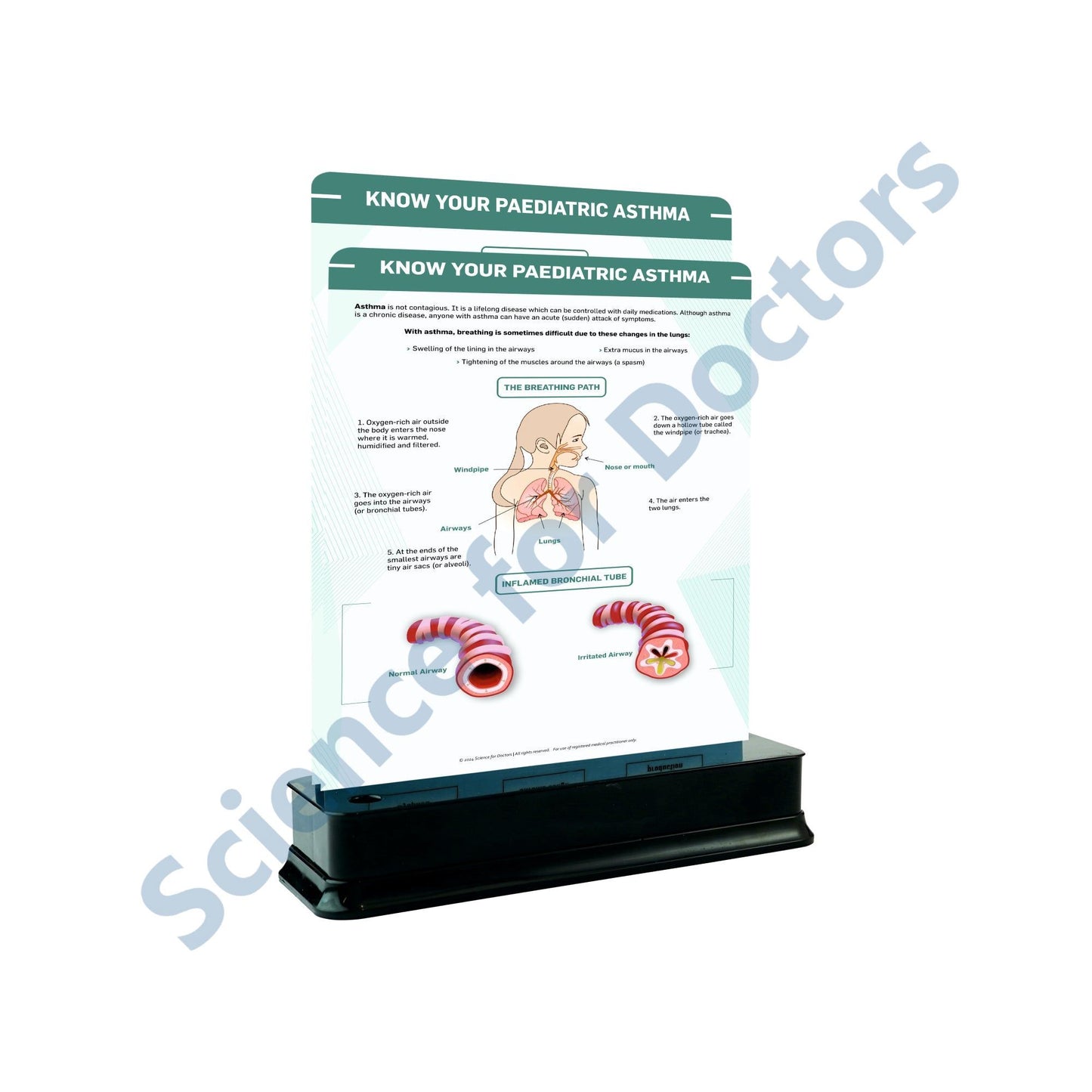 Know Your Pediatric Asthma: 2 Slides on stand