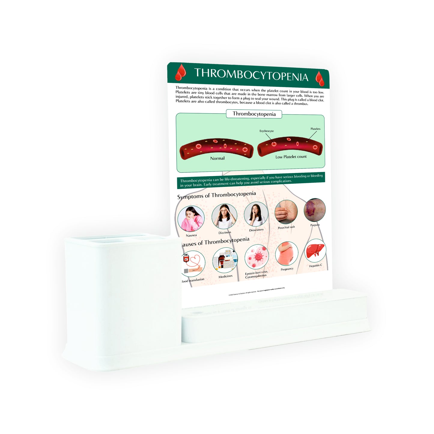 Thrombocytopenia: 1 Slide Write And Wipe With Stationary Stand