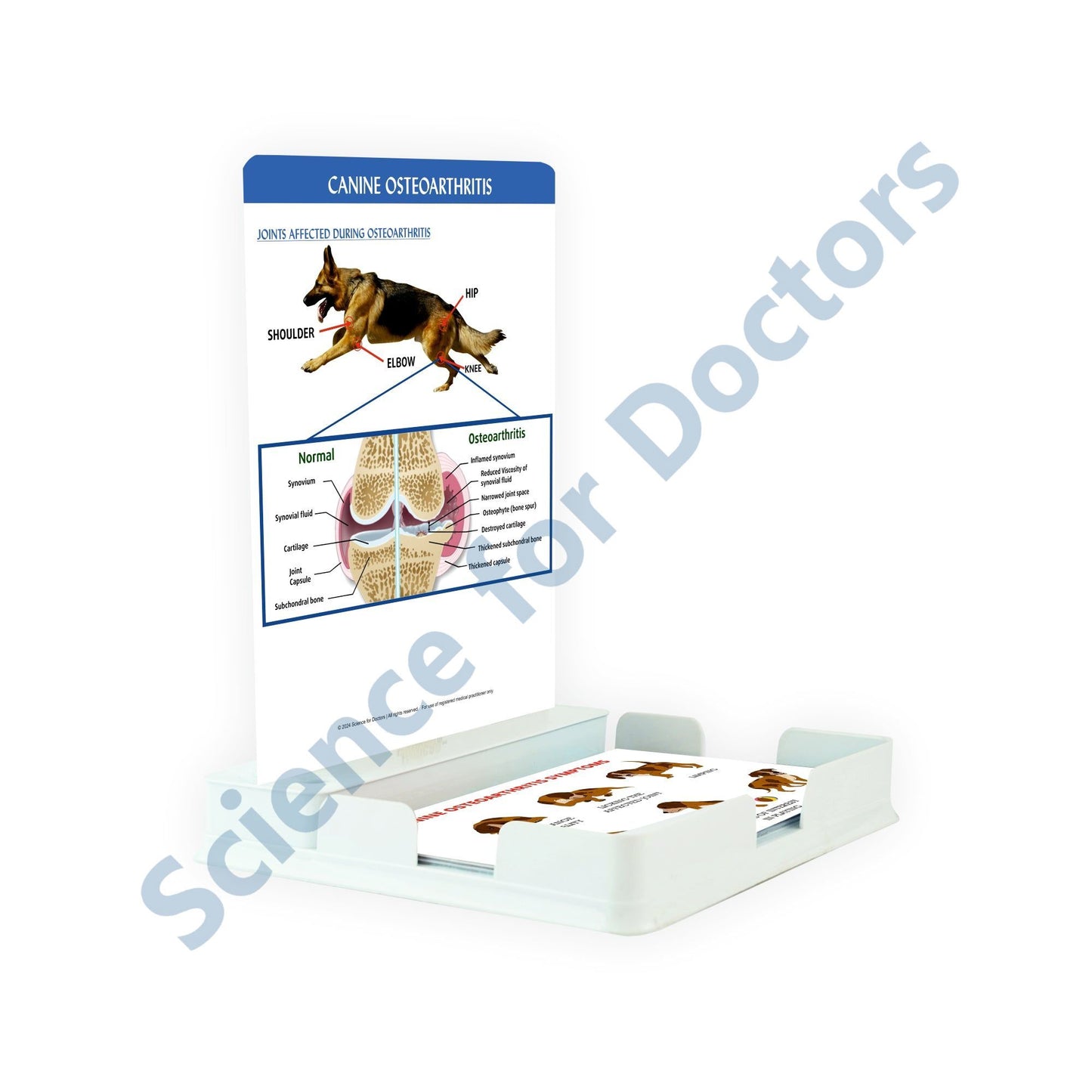 Canine Osteoarthritis: 1 Slide with Patient Leaflet Tray