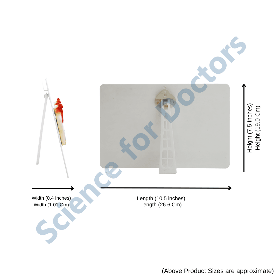 Diabetic Foot: 3D therapy Board