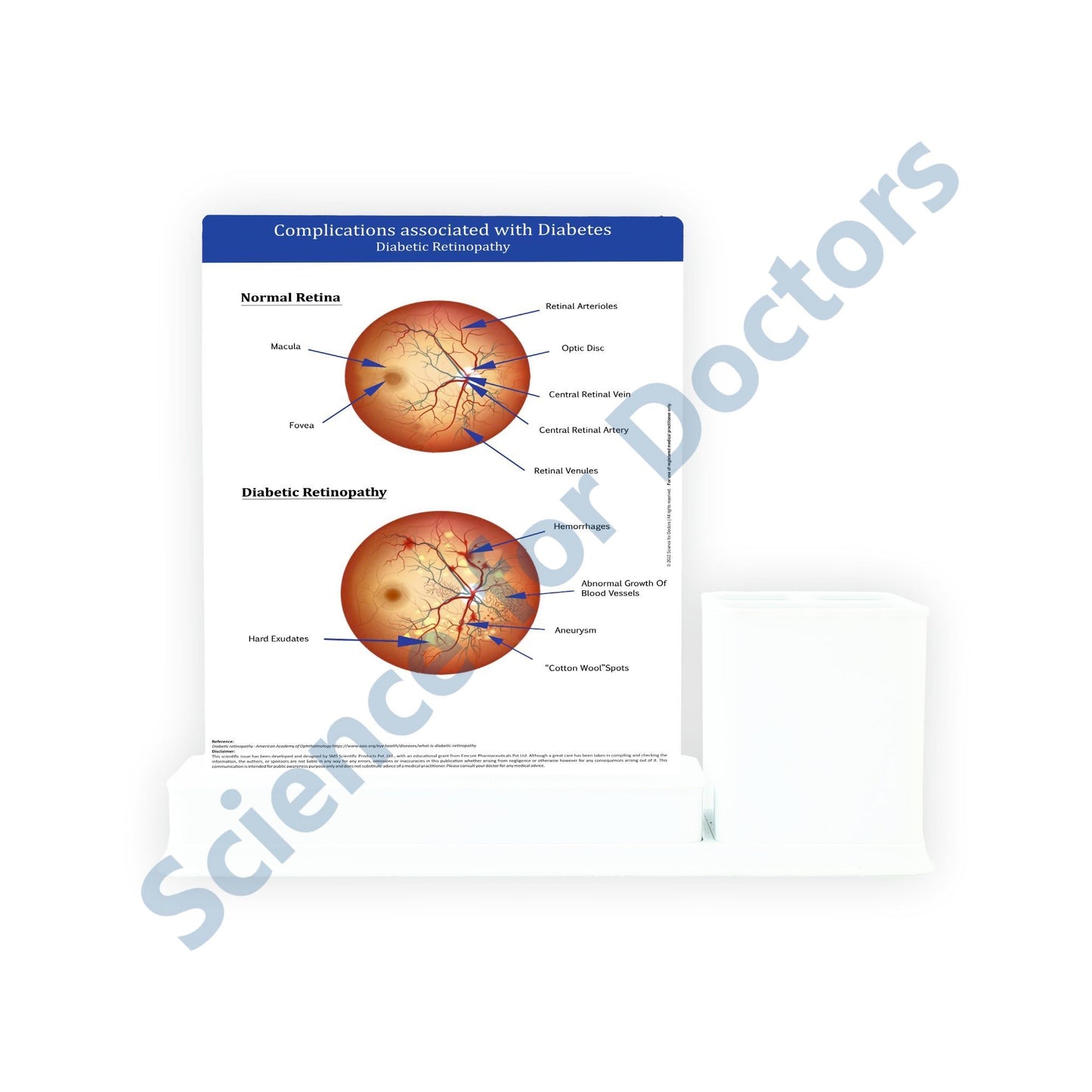 3 Slide Write Wipe With Stationery Stand - Complications of Diabetes
