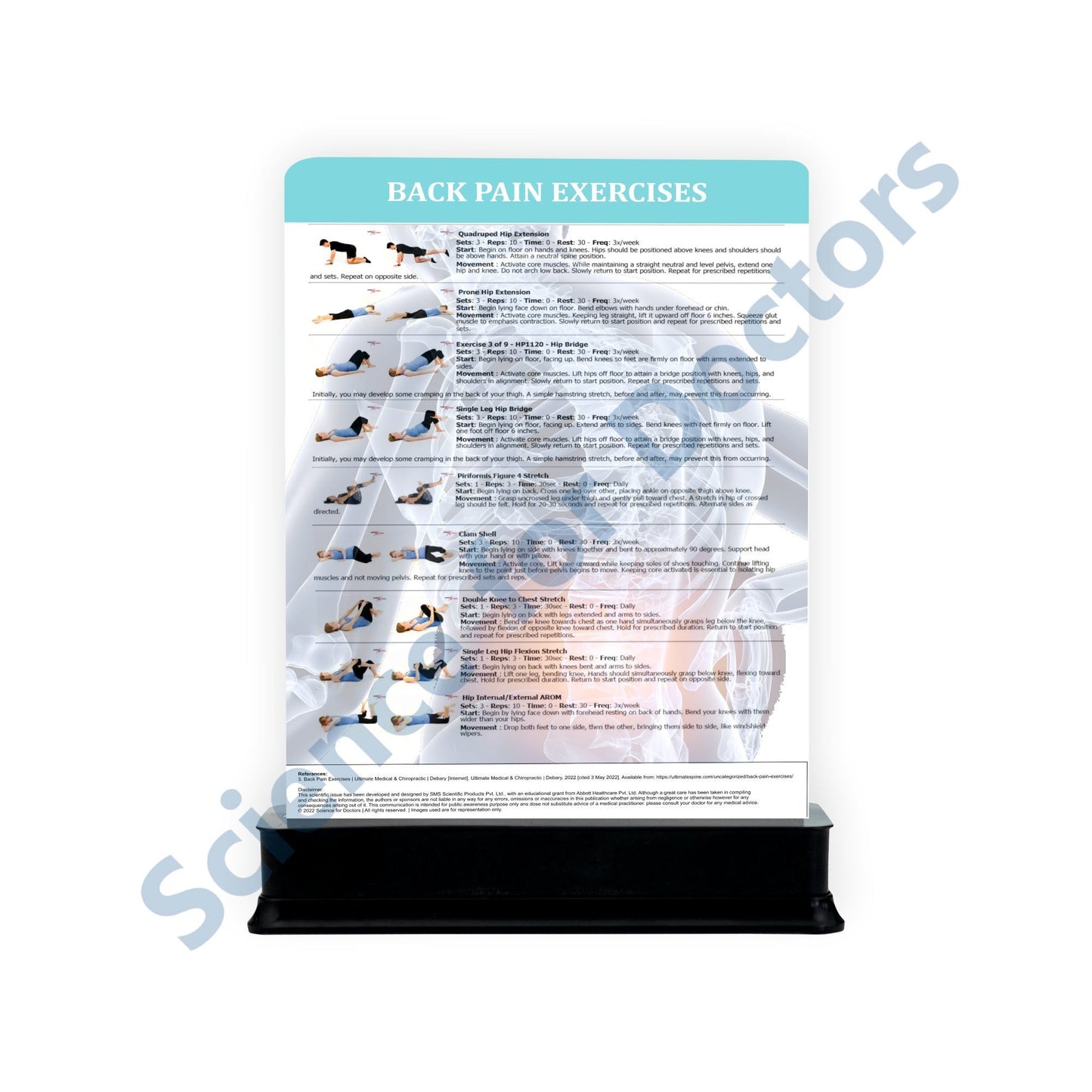 Low Back Pain: 1 Slide on stand