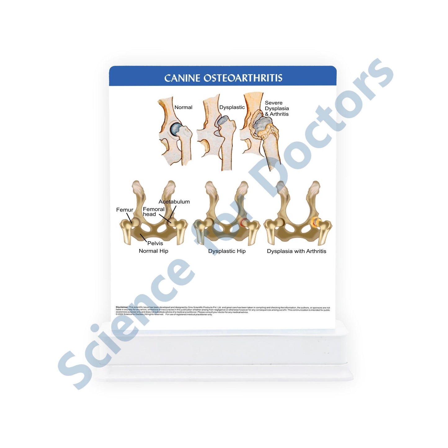 Canine Osteoarthritis: 1 Slide on stand