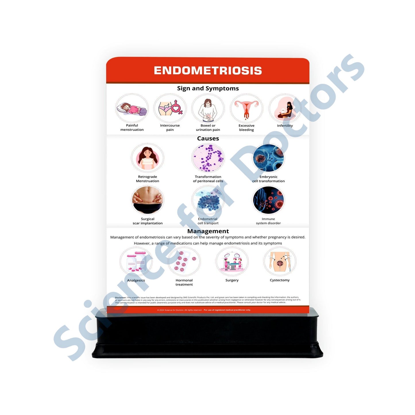 Endometriosis: 1 Slide on stand