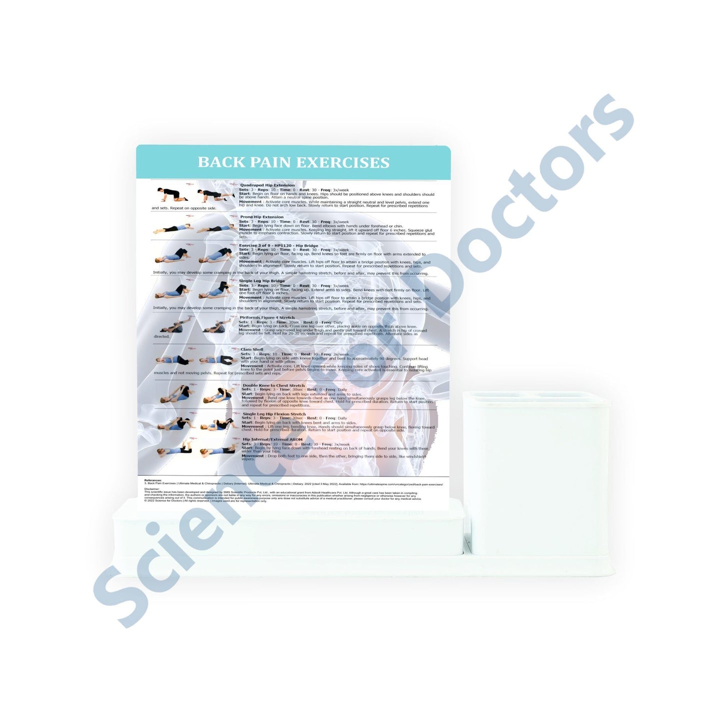 Low Back Pain: 1 Slides Write & Wipe with Stationary Stand