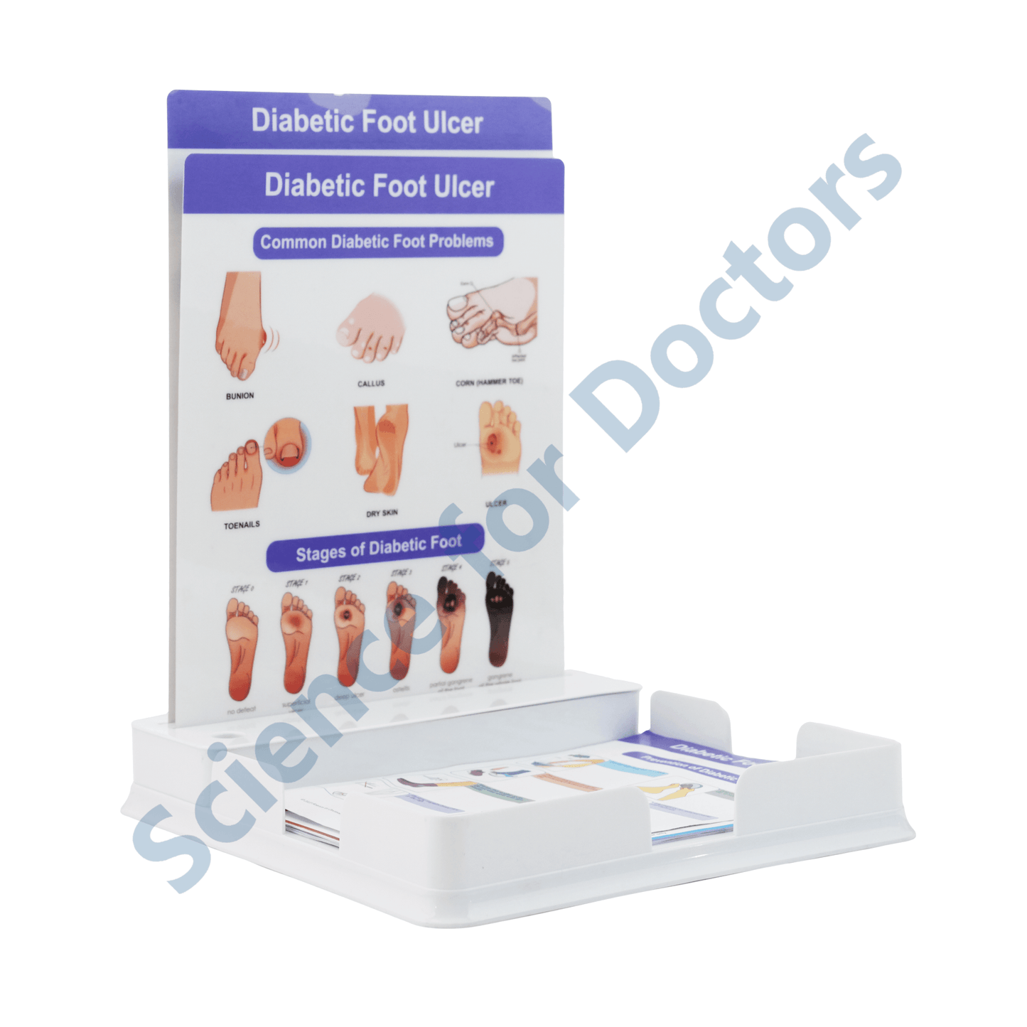 Diabetic Foot Ulcer: 2 Slides Patient Leaflet Tray