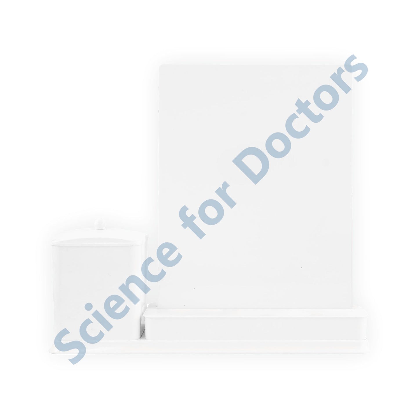 2 Slides Write & Wipe with Utility Container - Ligaments and Tendons of Elbow Joints