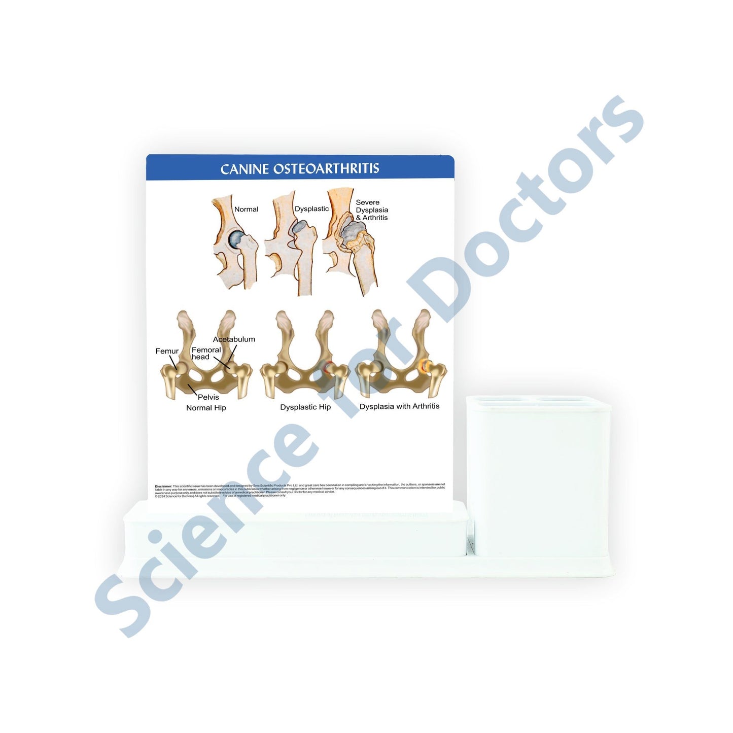 Canine Osteoarthritis: 1 Slides Write & Wipe with Stationary Stand