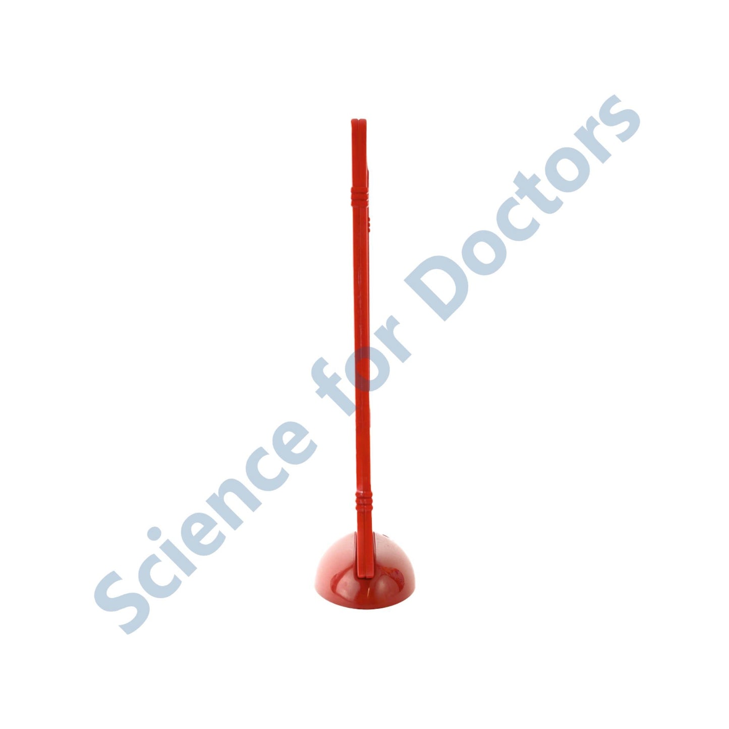 The Human Ear: The Frame Write & Wipe