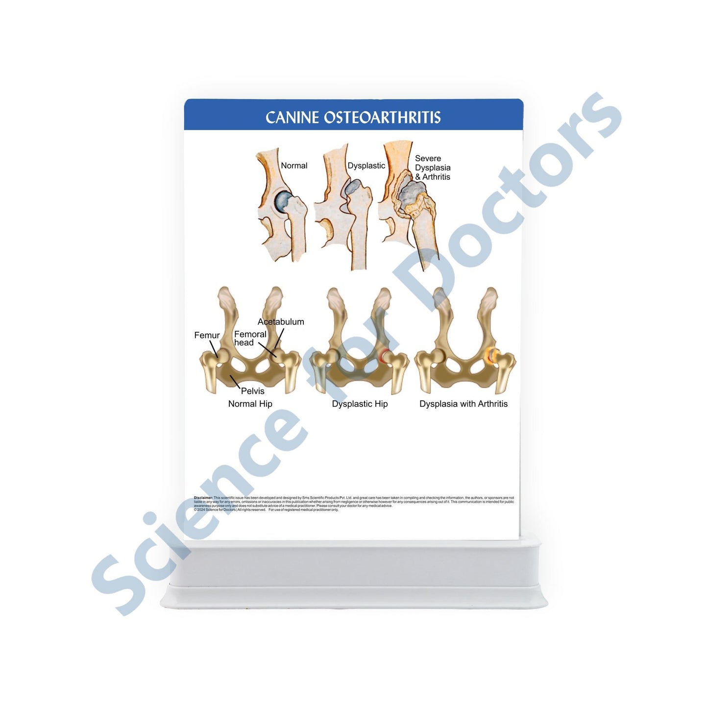 Canine Osteoarthritis: 1 Slide with Patient Leaflet Tray