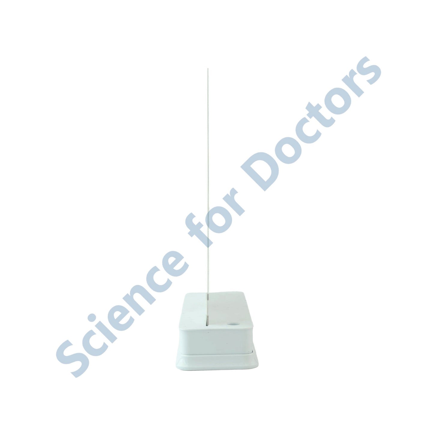 Anatomy of Heart: 1 Slide With Stand