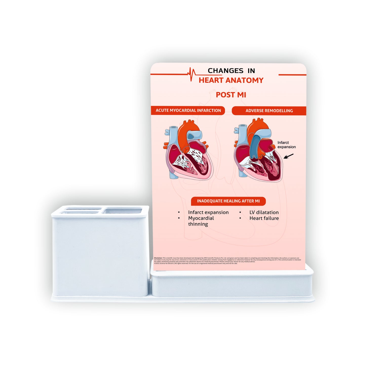 Smart - 1 Slide Write & Wipe With Stationary Stand - HEART ATTACK WARNING SIGNS