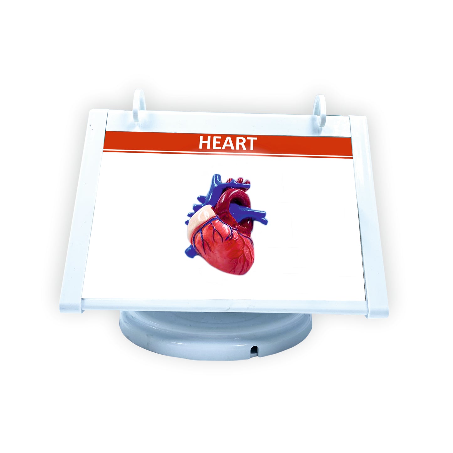 ROTRI - H WITH FLIP WIPES ON TOPS - Heart Failure