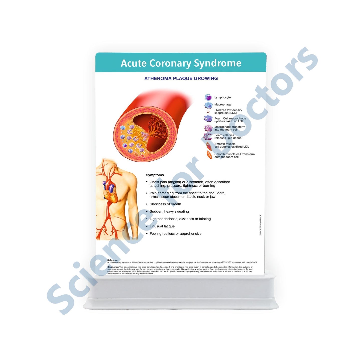 Coronary Artery Disease: 2 Slides Patient Leaflet Tray