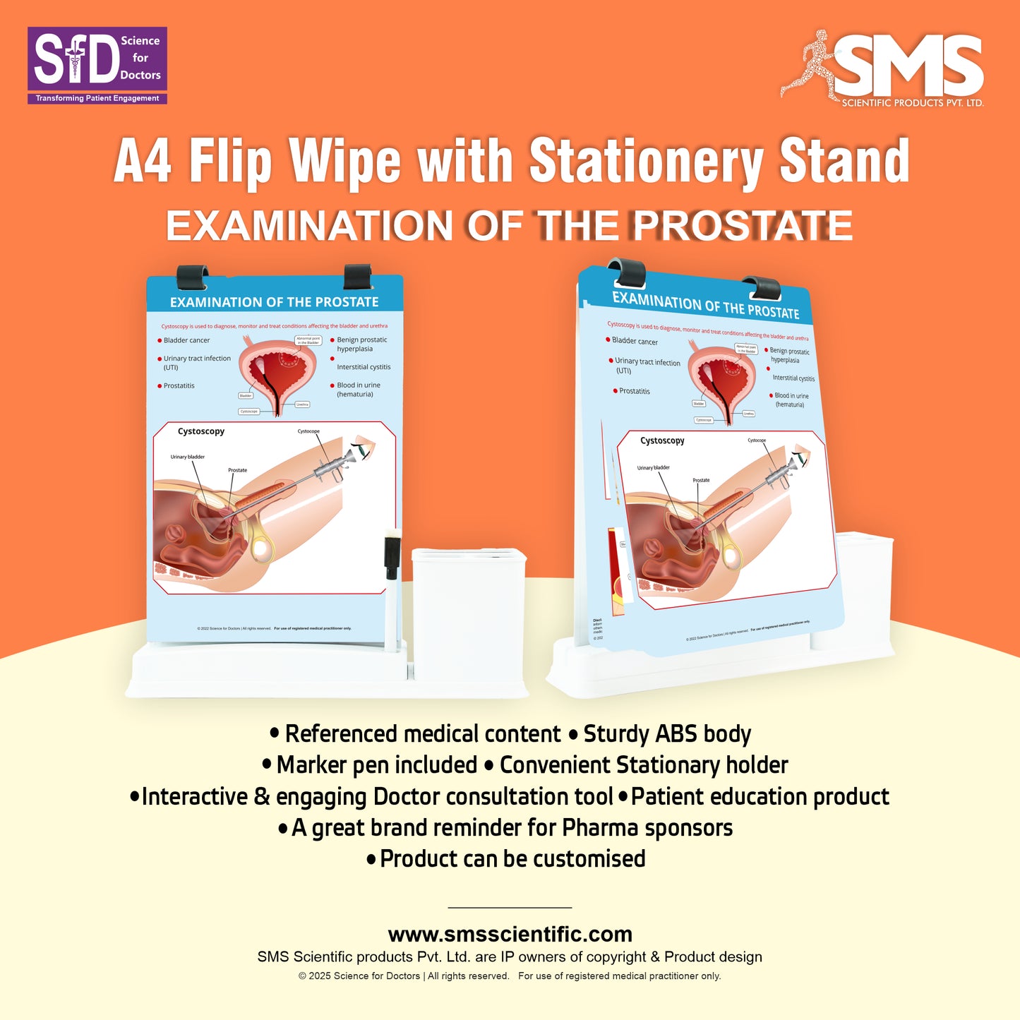 Examination of The Prostate: A4 Flip Wipe With Stationery Stand