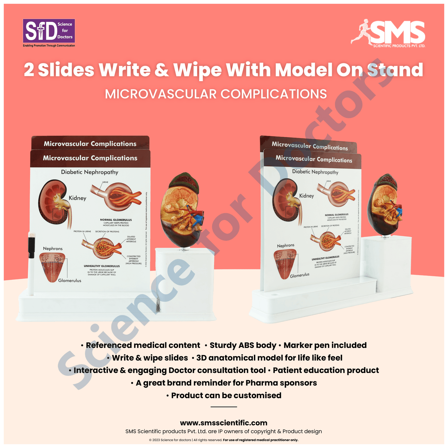 Microvascular Complications : 2 slide Write and Wipe with Anatomical Model