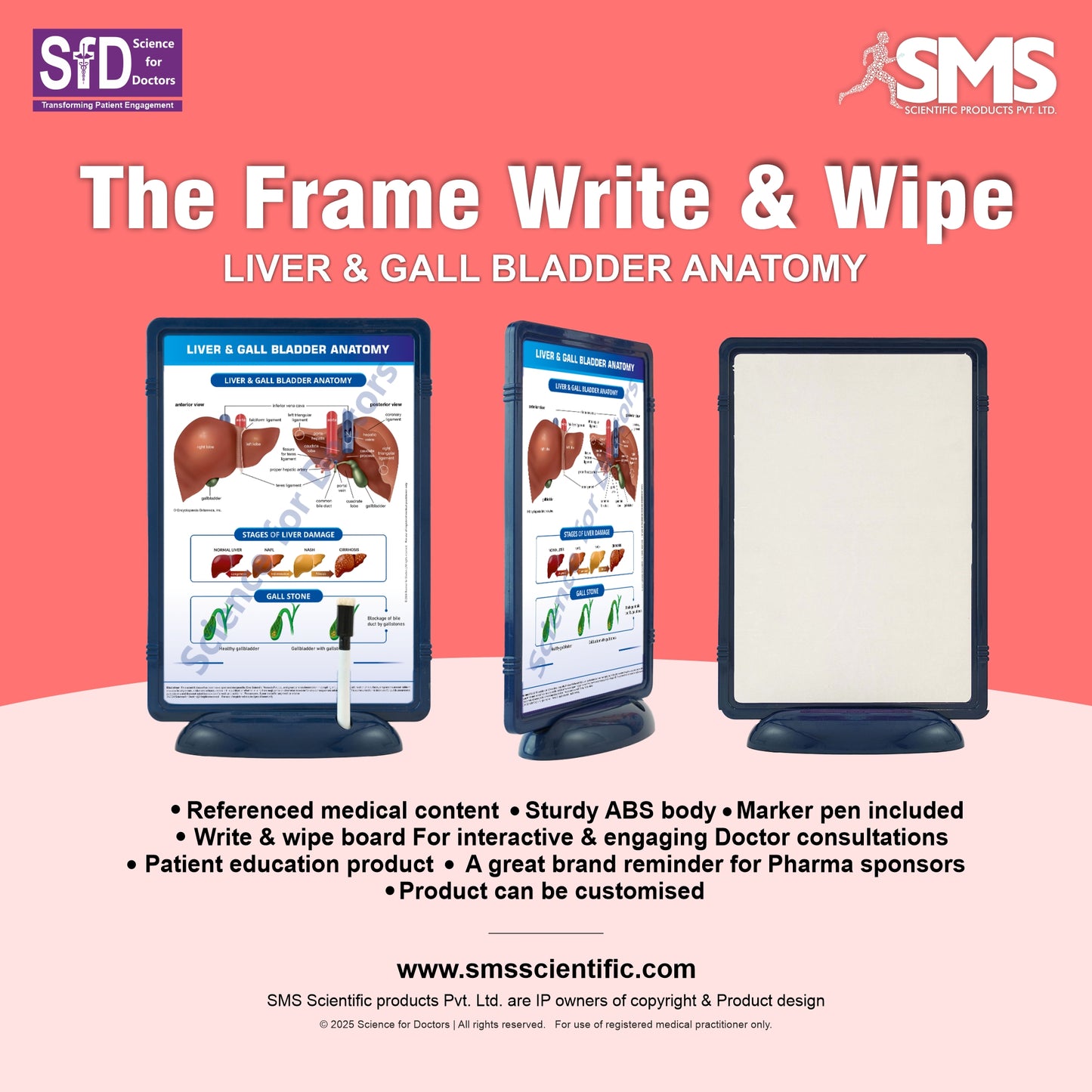 Liver & Gall Bladder Anatomy: The Frame Write & Wipe