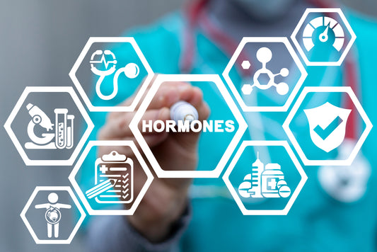 Understanding Hormones: The Body's Chemical Messengers