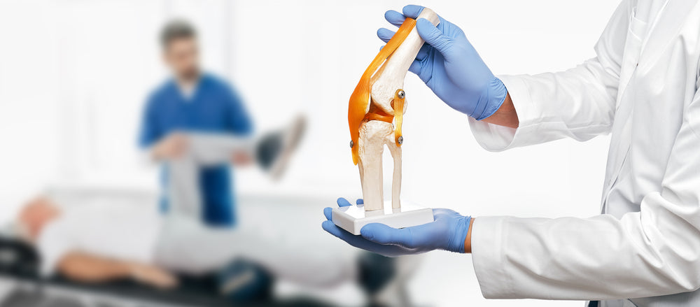 Bone Diseases: Causes, Symptoms, and Prevention