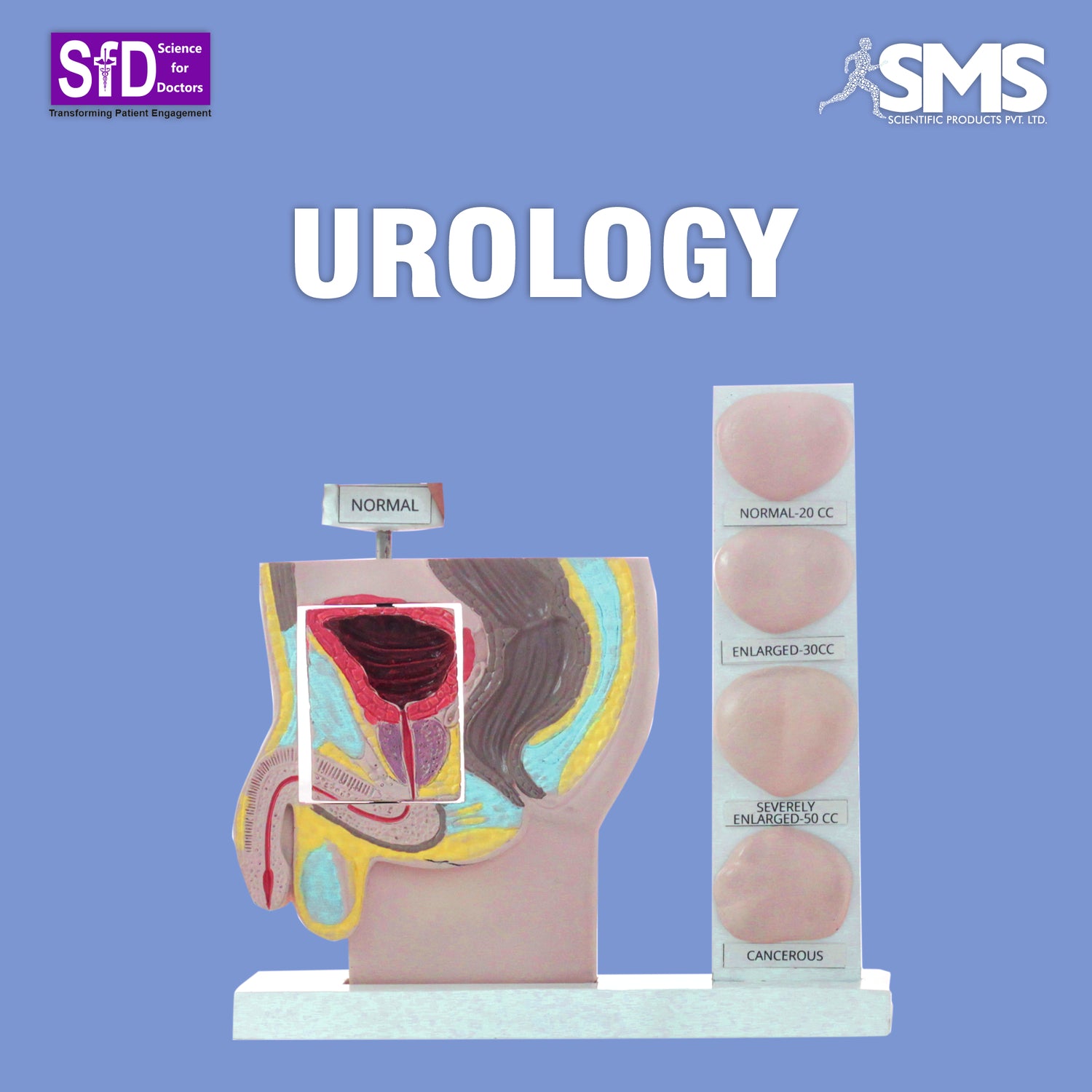 UROLOGY