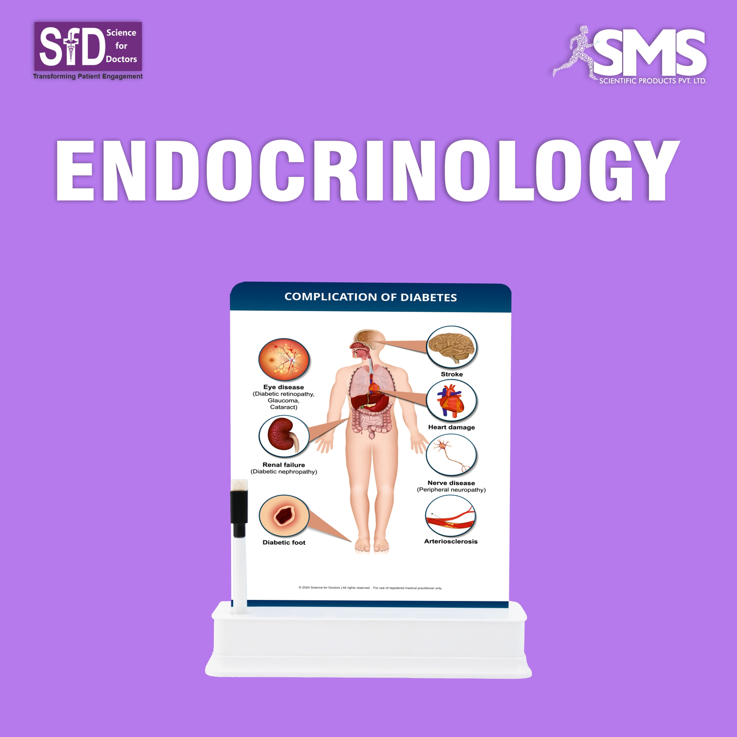 ENDOCRINOLOGY