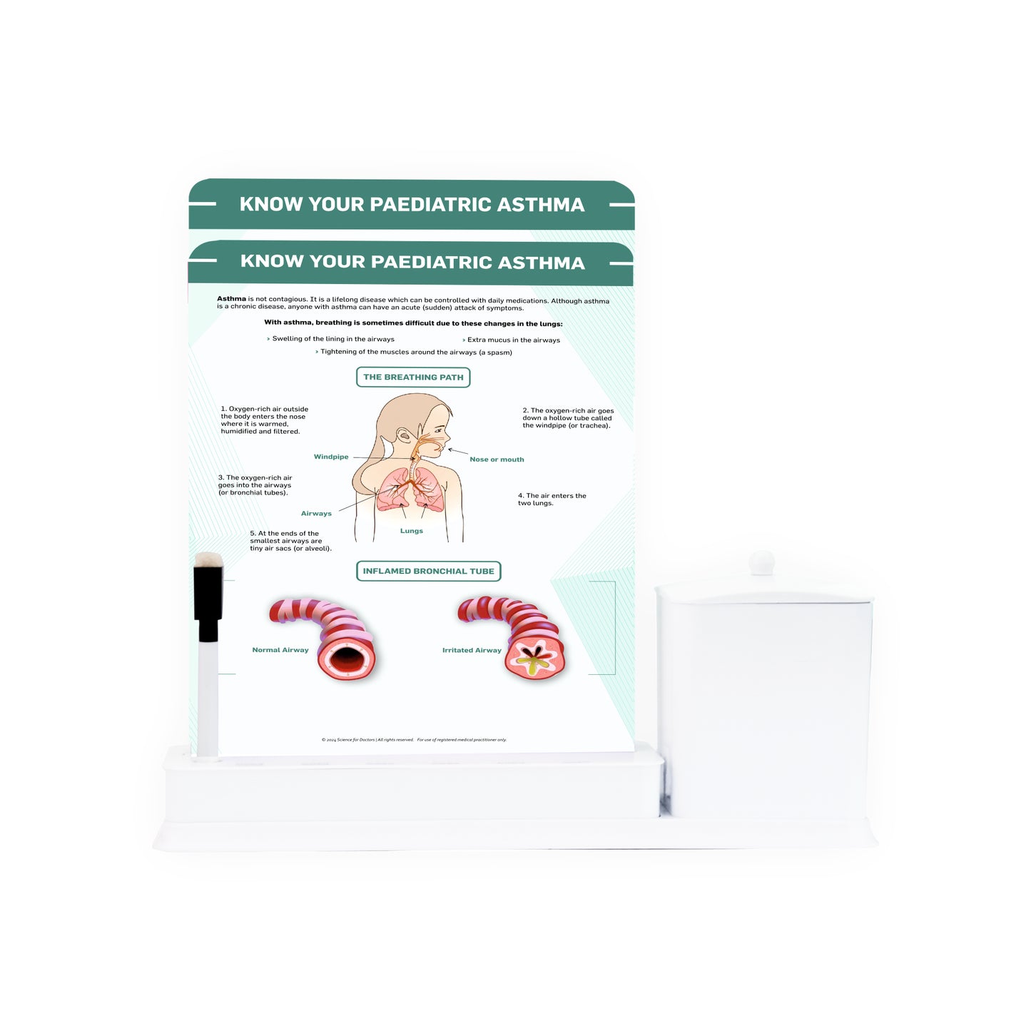 Know your Pediatric Asthma: 2 Slide Write Wipe With Utility Container