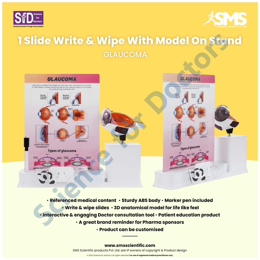 Glaucoma : 1 Slide write and wipe with anatomical model on stand