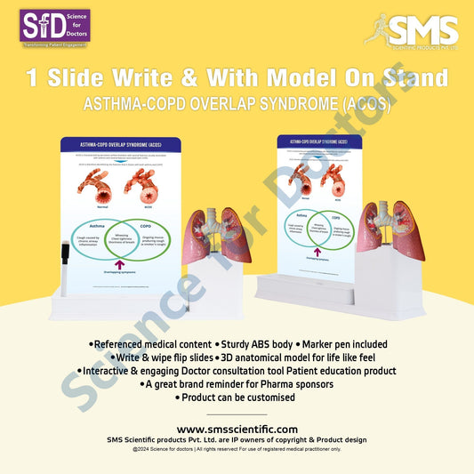Asthma-COPD Overlap Syndrome (ACOS): 1 Slide write and wipe with anatomical model on stand