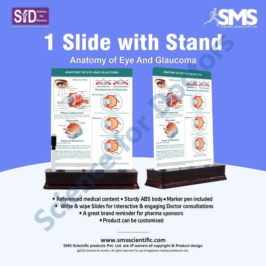 Anatomy of Eye and Glaucoma  - 1 Slide With Stand