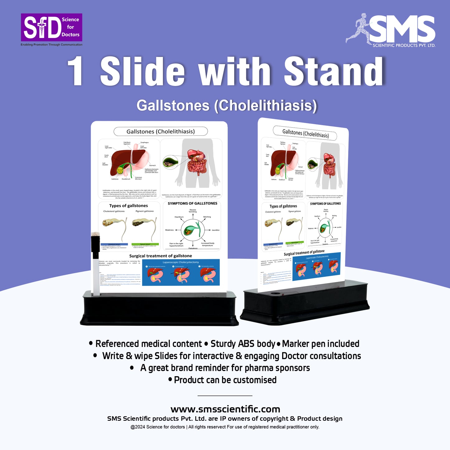 Gallstones (Cholelithiasis): 1 Slide with Stand