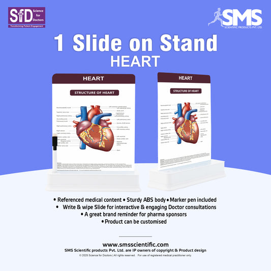 Heart: 1 Slide With Stand