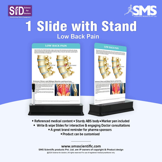 Low Back Pain: 1 Slide on stand