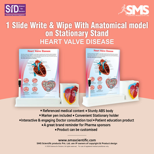 Heart Valve Disease: 1 Slide Write & Wipe With Anatomical model on Stationary Stand