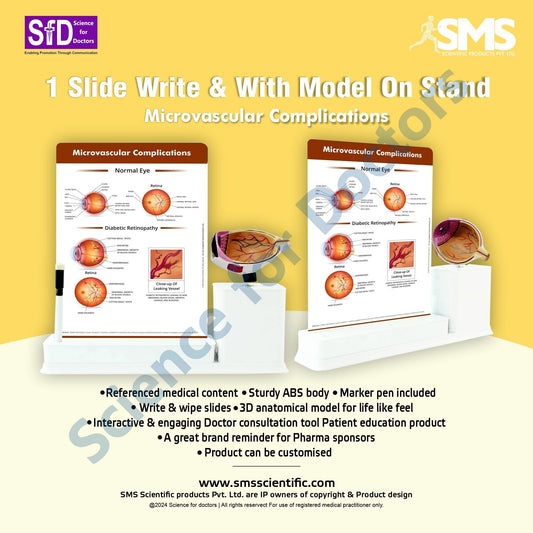 Microvascular complications - Diabetic retinopathy: 1 Slide write and wipe with anatomical model on stand