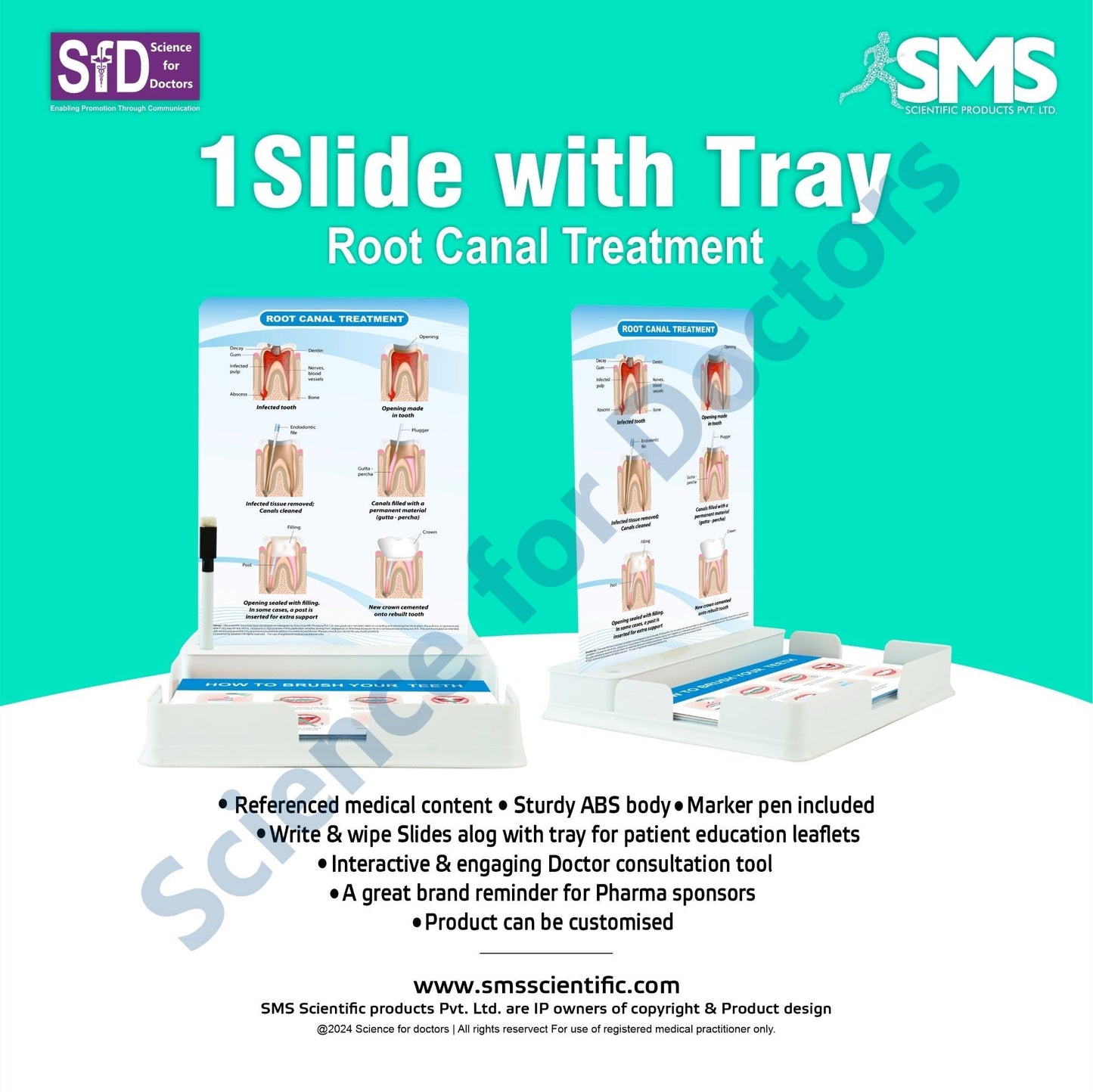 Root Canal Treatment: 1 Slide with Patient Leaflet Tray