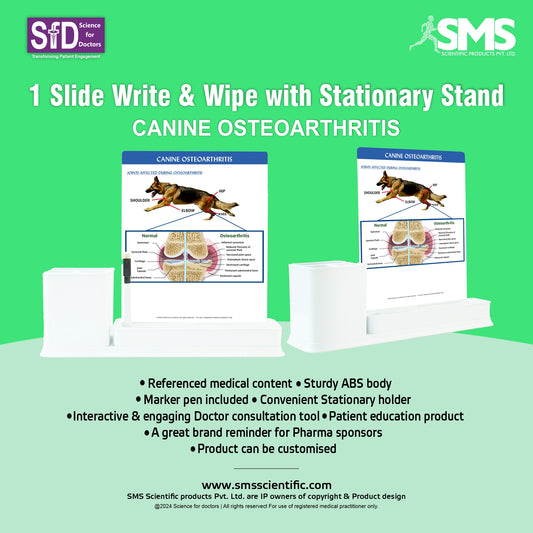 Canine Osteoarthritis: 1 Slides Write & Wipe with Stationary Stand