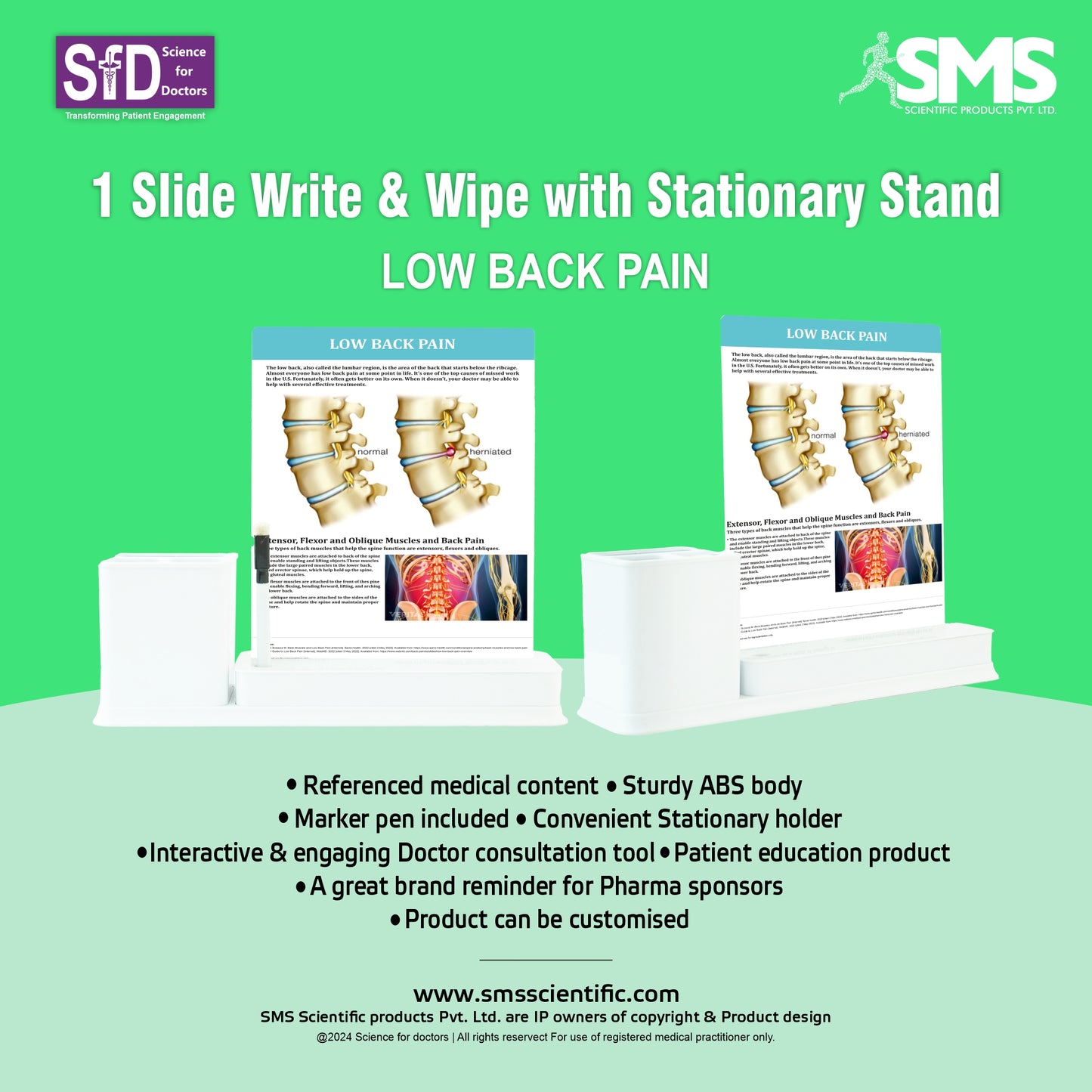 Low Back Pain: 1 Slides Write & Wipe with Stationary Stand