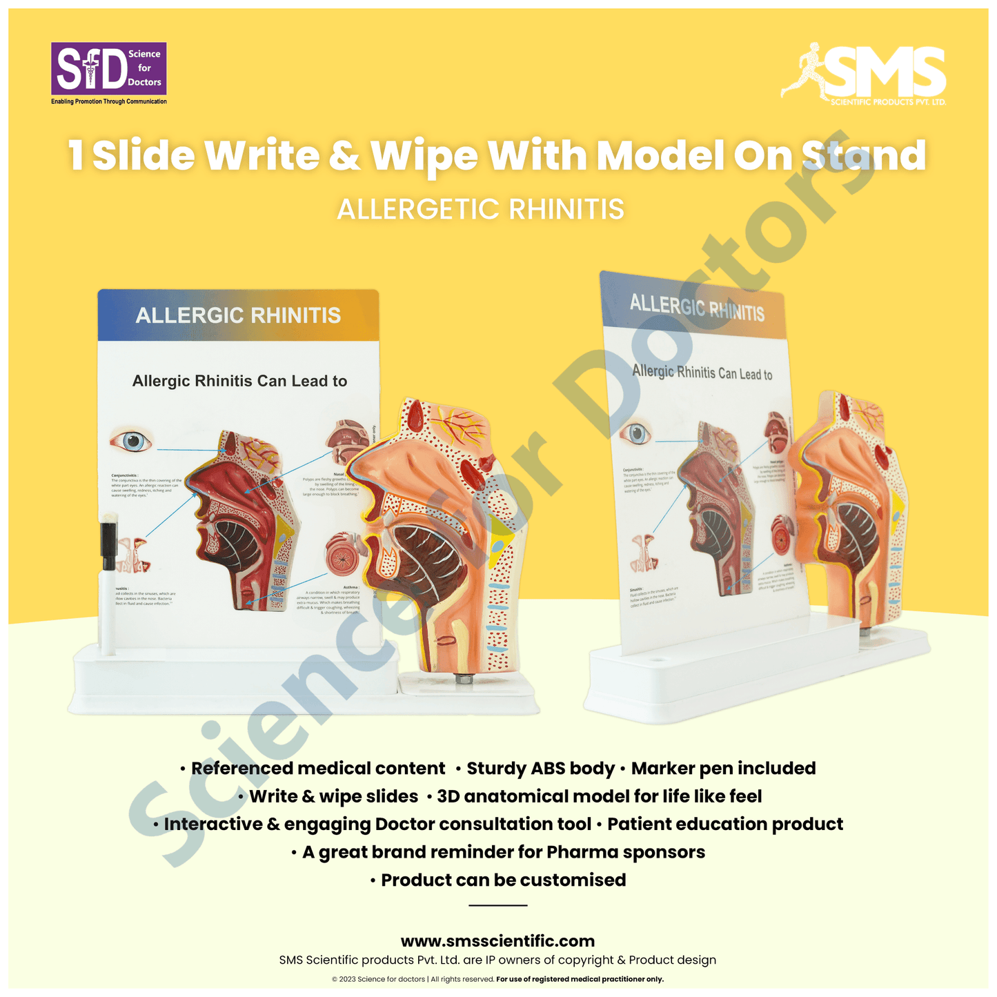 Allergic Rhinitis : 1 Slide write and wipe with anatomical model on stand