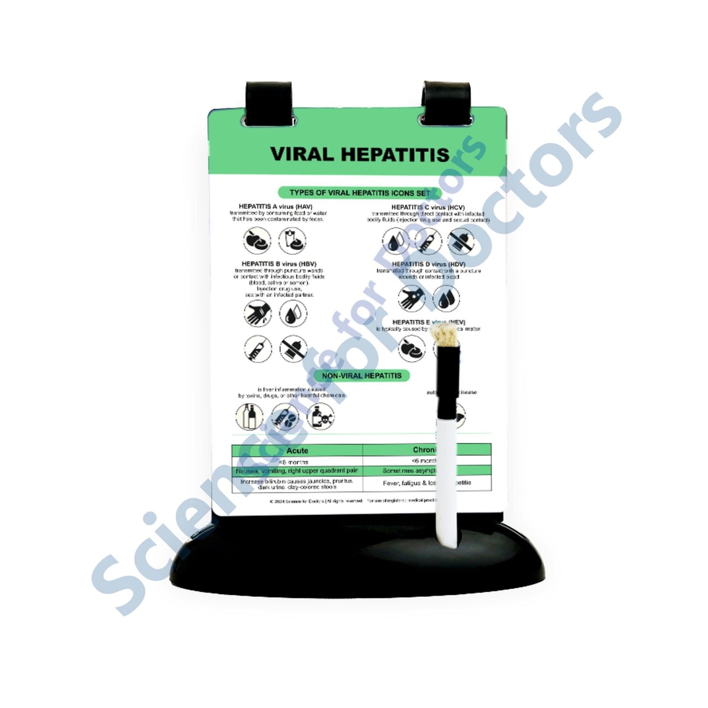 Viral Hepatitis: A5 Flip Wipe