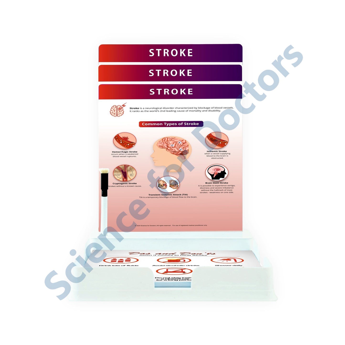 Stroke: 3 Slides Patient Leaflet Tray