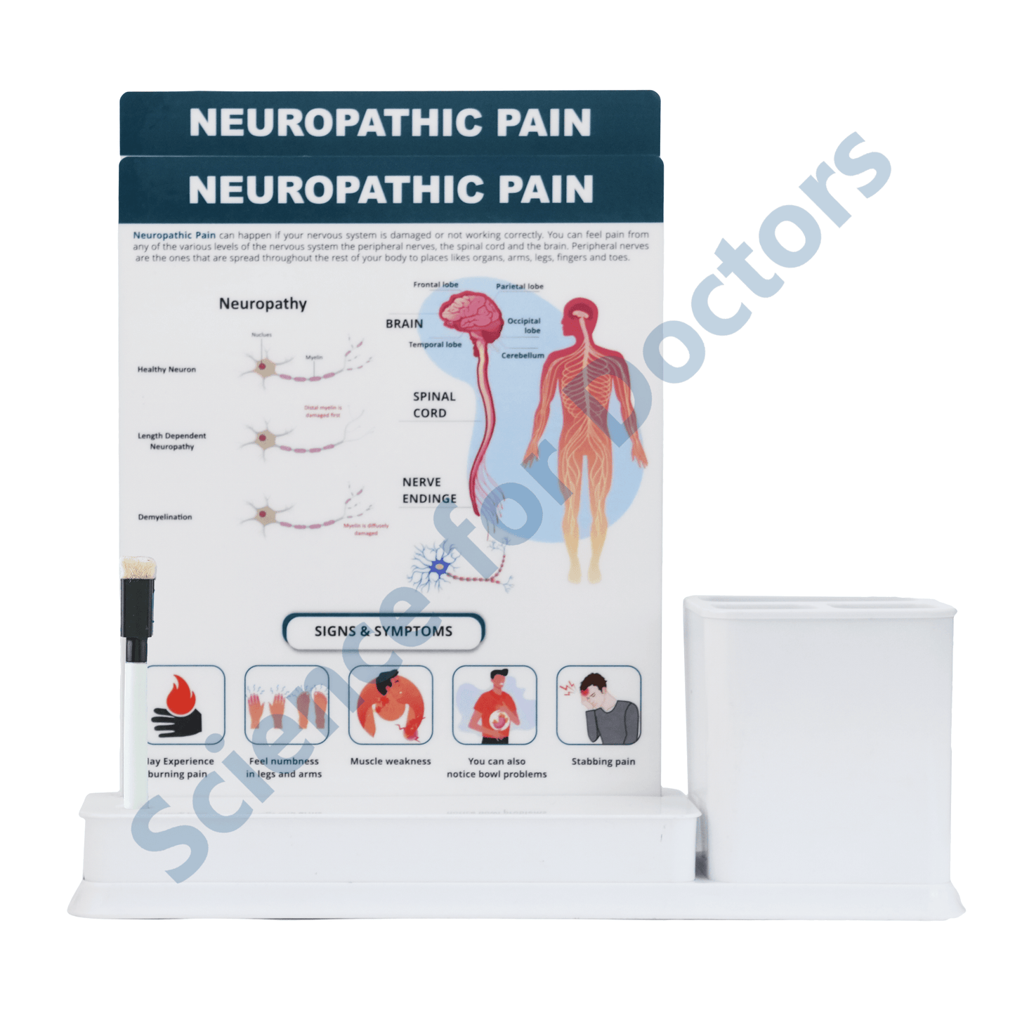 Neuropathic Pain: 2 slide on stand with Stationary stand