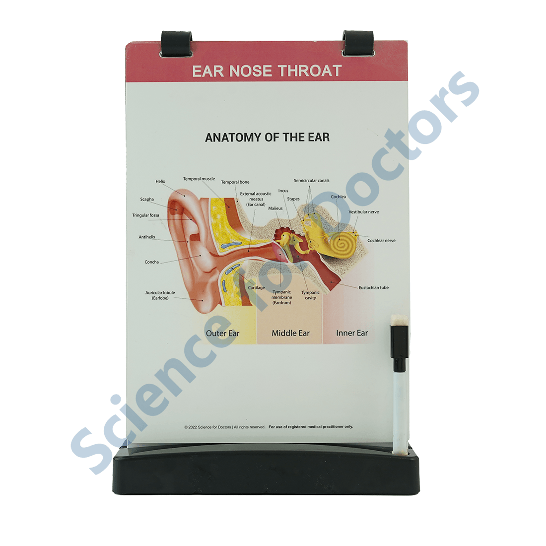 Ear Nose Throat: A4 Flip Wipe