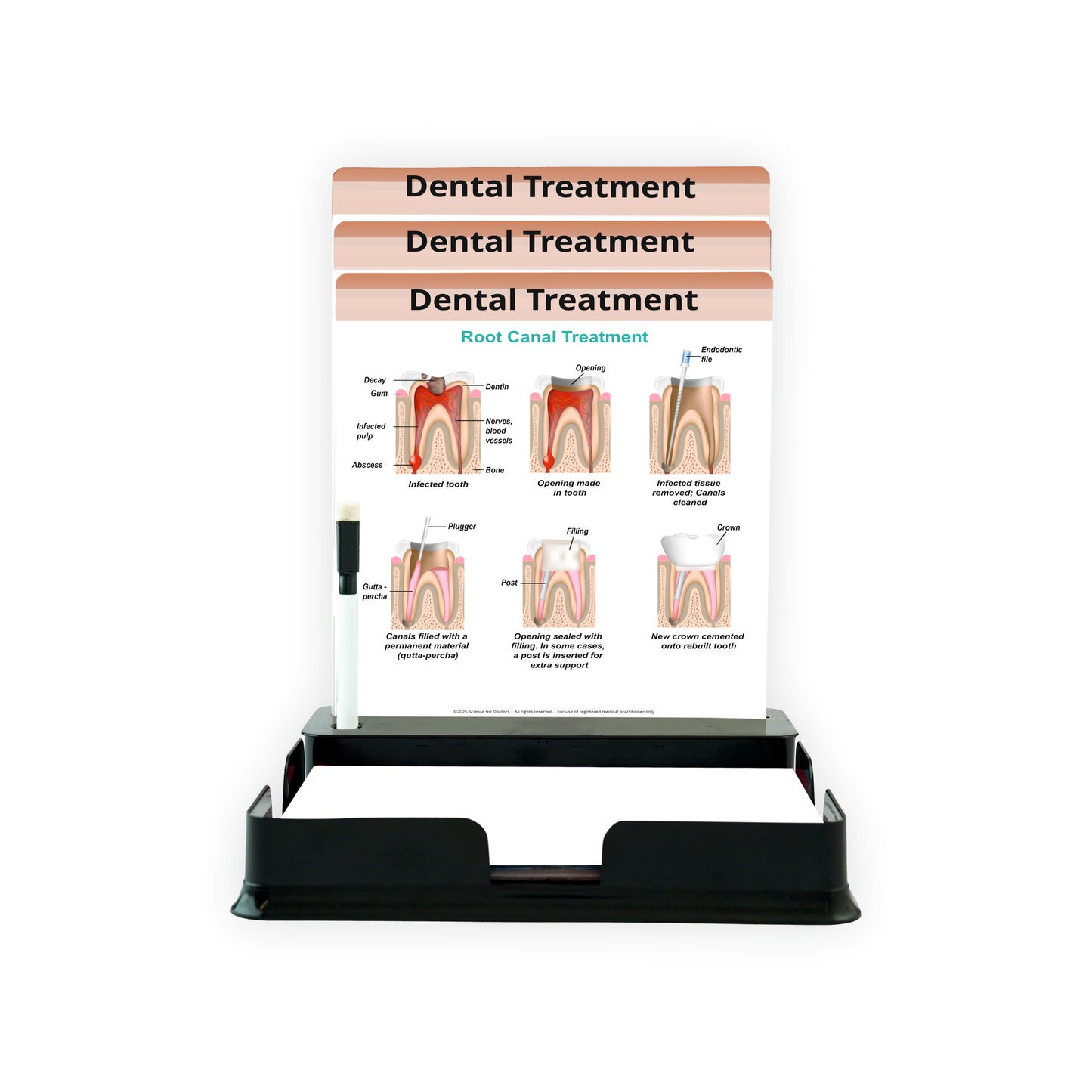 3 Slides With Tray - Dental Treatment